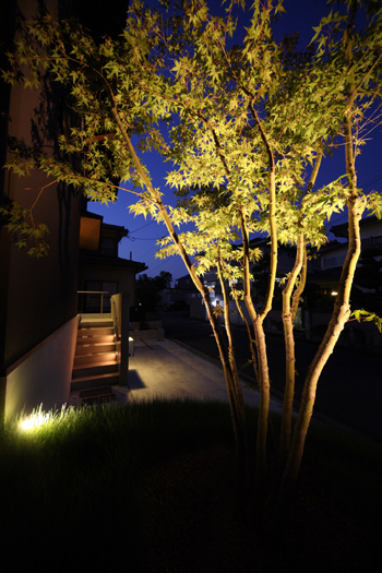 奈良県　ライトアップ写真